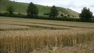 Crop and Stonecircles