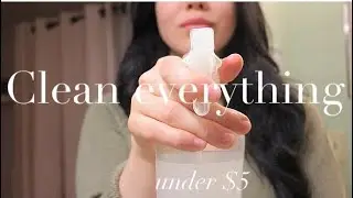4 DIY CLEANERS UNDER $5 FOR THE ENTIRE HOUSE | SAFE & MINIMAL |