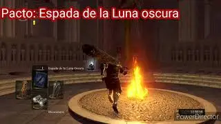 DARK SOULS: TODOS LOS PACTOS