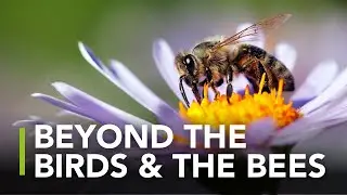How Your Business Relies On Biodiversity