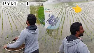 మల్లి 10 రోజుల తర్వాత😳😱 #shortsfeed #external #shortfeed #agriculture #shorts #ytshorts #ytshots #yt