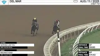 Work of the Day at Del Mar: Nothing Like You & Madaket Road worked on August 11th, 2025