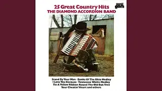 Folsom Prison Blues / I Still Miss Someone / Walk The Line