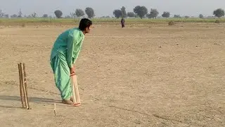 Cricket Hostry video