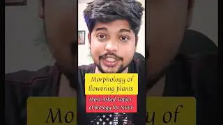 Morphology of flowering plants - Most Asked Topics for NEET ! #neet #biology #neetbiology