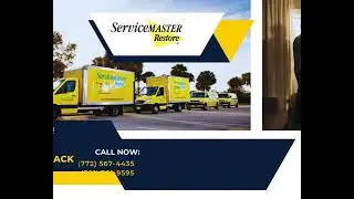 Emergency Restoration: How to Handle Water, Fire, and Mold Damage Effectively