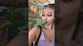 What&rsquo;s your favourite animal? #funnyvideos2025 #funny2025 #memes2025