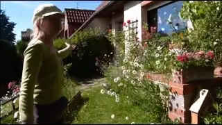 Visite du Refuge LPO d’Évelyne dans le Pas de Calais