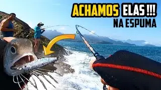 CARDUME GRANDE na PESCARIA de COSTEIRA  -  DICAS de MICROJIG