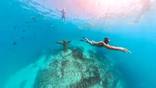 [4K] FREE DIVING AT CAPE VERDE (Corals, Shipwreck, Christ, Turtles)
