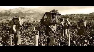 DOCa Rioja: Nuestra historia