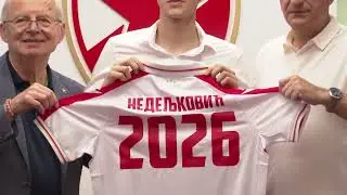 Tema dana | Kosta Nedeljković 