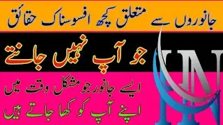 janwaron ke barey mein aham maloomaat |Wild animals information  |General knowledge | Hayat Nama
