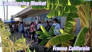 Saturday morning market, just like our homeland. Fresh produce and many variety of Lao food. 