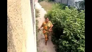 Mapacha wa_3 wakiwa kazini