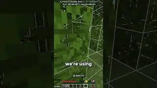 using an insane route to get world record
