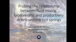 Fernandes Martins, Maria Clara: Fluid mixing on early Earth & analog hydrothermal environments