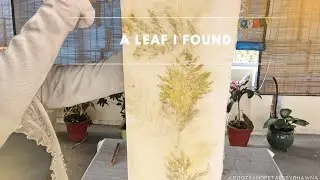 A walk in nature: from leaf to fabric