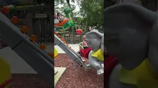 Веселые дети веселятся на карусели в Львином сафари. Детское видео! #beach #fun #slide #baby #funny