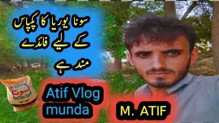 Kapas mein Sona uriya khad ka fayda Atif Vlog munda #