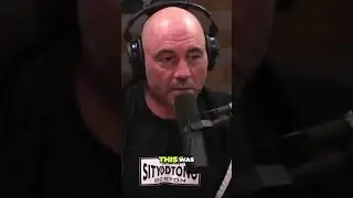 Are We Still Subjects of Government Testing? #shorts #joerogan #jre #government #test #experiment