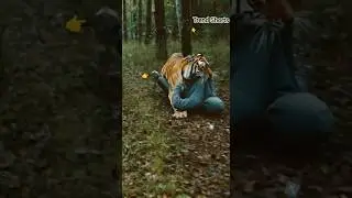 On Camera 🐅 Tiger Attacks Robber, Drags Him Into the Forest! 😱 Real Survival Moment #shorts