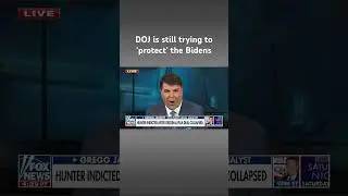 Gregg Jarrett slams Weiss, Garland over Hunter Biden charges #shorts