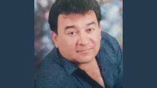 طير الحمام