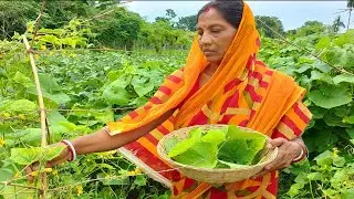 Village Food Sosar Patar Bora || Traditional Kheera Patar Bora | Cucumber Leaves Recipe | pakora ||