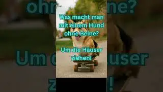 Flacher Hund, Kurzer Witz!