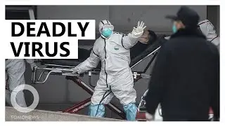 China confirms human transmission of SARS-like virus - TomoNews