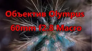 Объектив Olympus 60mm f2 8 Macro