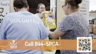 SPCA Tampa Bay Day Of Giving: Our Mission to Support All Animals & Our Community