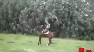 Ispoorti fardaa