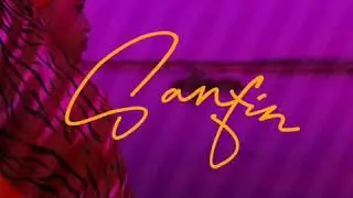 SANFIN (Audio)- Roki Love