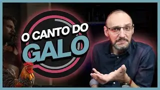 O CANTO DO GALO – AVE OU TROMBETA?