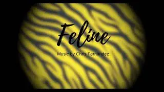 MUSICA PARA MAGIA 7 - MUSICA PARA ESPECTACULOS