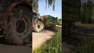 ZETOR FORTERRA 1174 VEZE HNŮJ