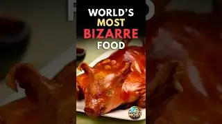World&rsquo;s Most Bizarre Foods 🤢 | #1 Ultra Disgusting!
