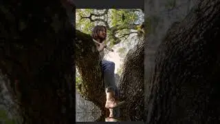 Insane Glitch Effects with Adobe AI! 🤯