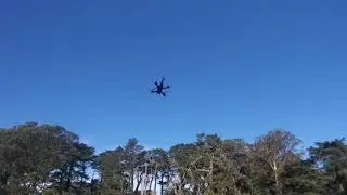 Armattan Tadpole great lil Quad