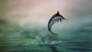 O velho e o Mar