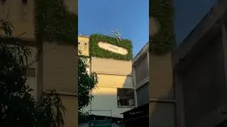 медицинские пластыри для разбитых коленок. Пластыри poka.jpg для всего