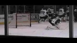 Dallas Stars Prospects Goalies 2