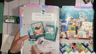Whale Done Merci Chocolate Treat Holder