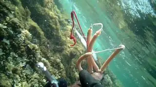 Caccia sub all'Argentario