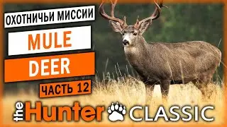 ОХОТА НА ЧЕРНОХВОСТОГО ОЛЕНЯ! | Охотничьи Миссии | theHunter Classic 🐻 | (часть 12)