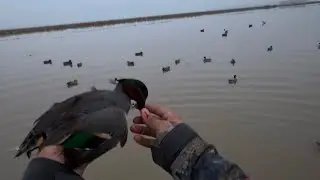 1 man limit in 45 minutes! Ended with a Scotch Triple
