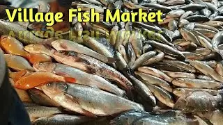 Fish Market In Our Village || #fishing&farming360