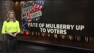 Fate of Mulberry as city now up to voters